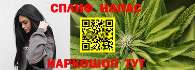 прущие грибы Бугуруслан