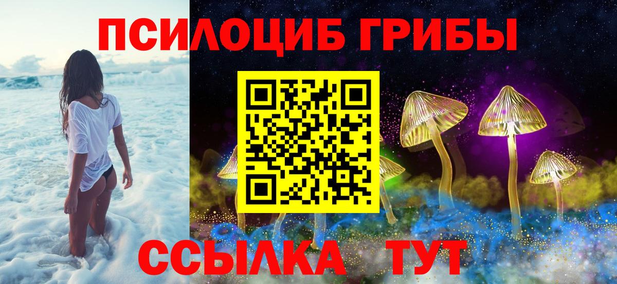 Галлюциногенные грибы мицелий Реутов